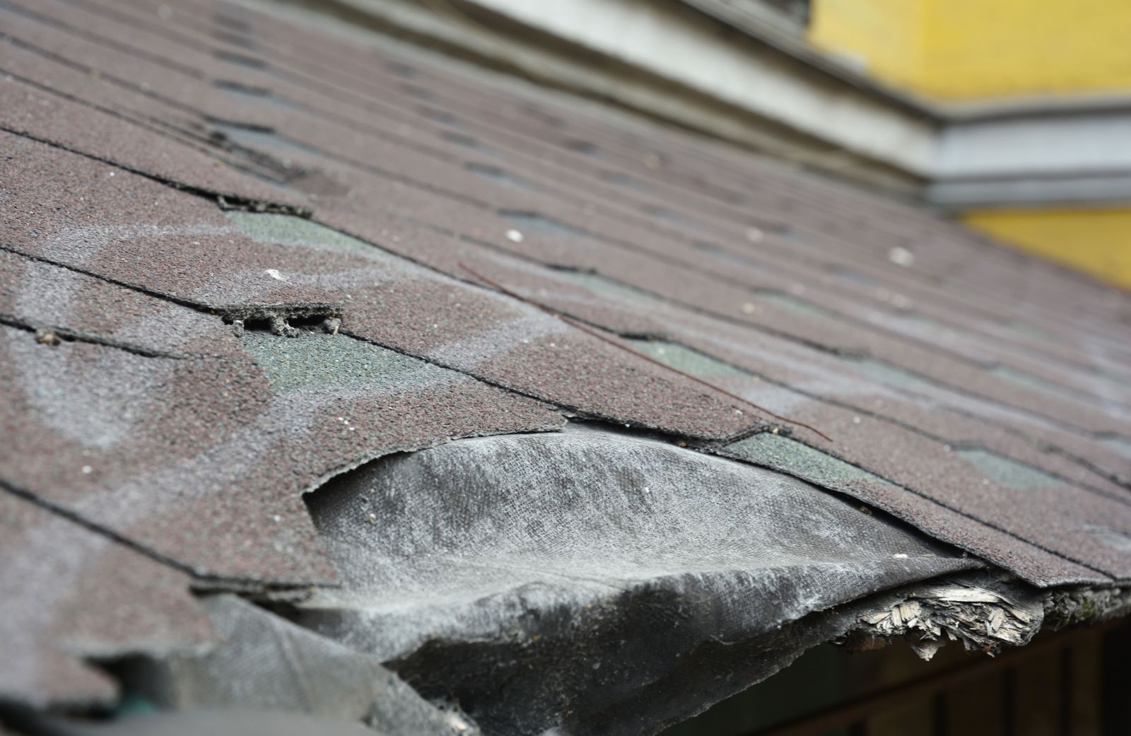 Warrior Roofing Solutions Images