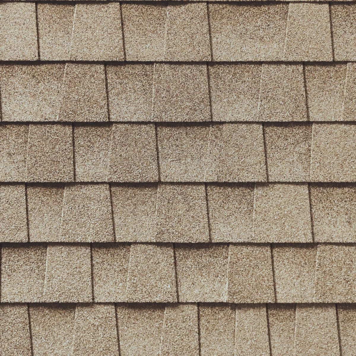 Warrior Roofing Solutions Images