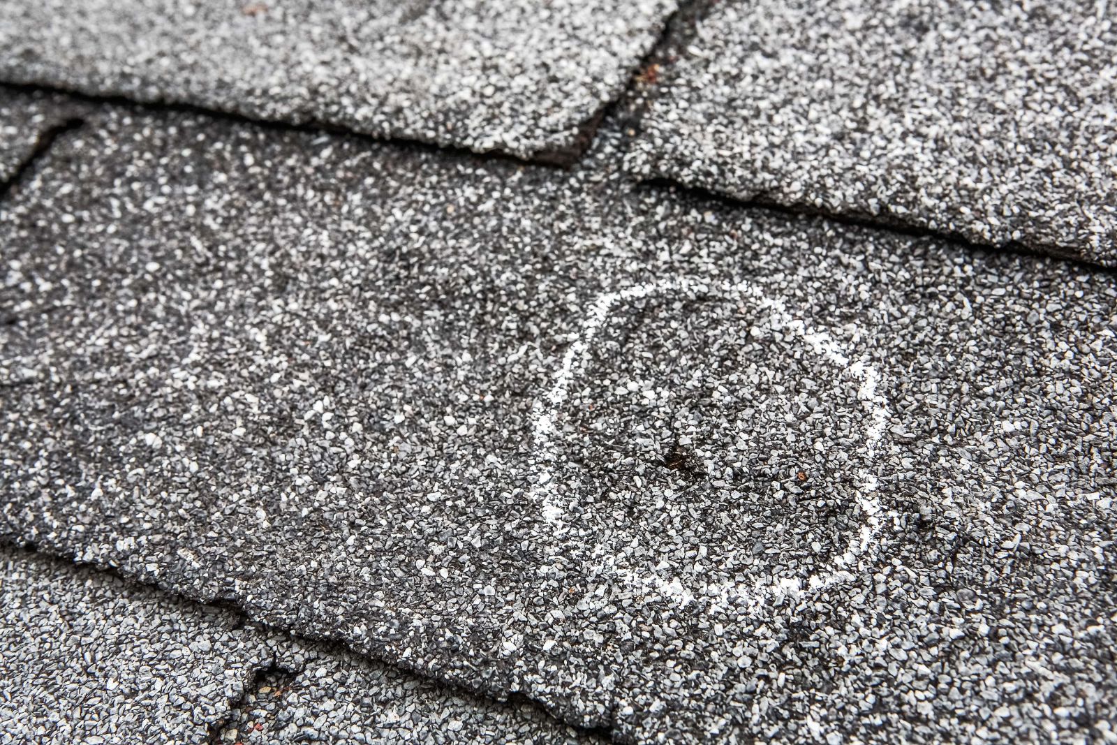 Warrior Roofing Solutions Images