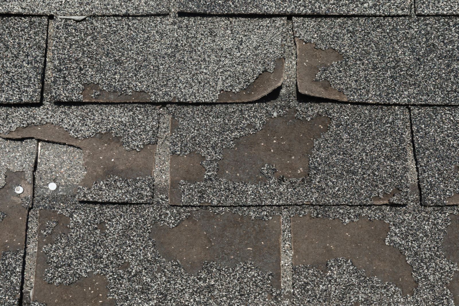 Warrior Roofing Solutions Images