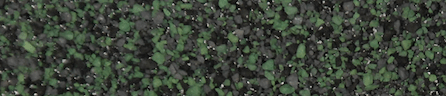 Warrior Roofing Solutions Images